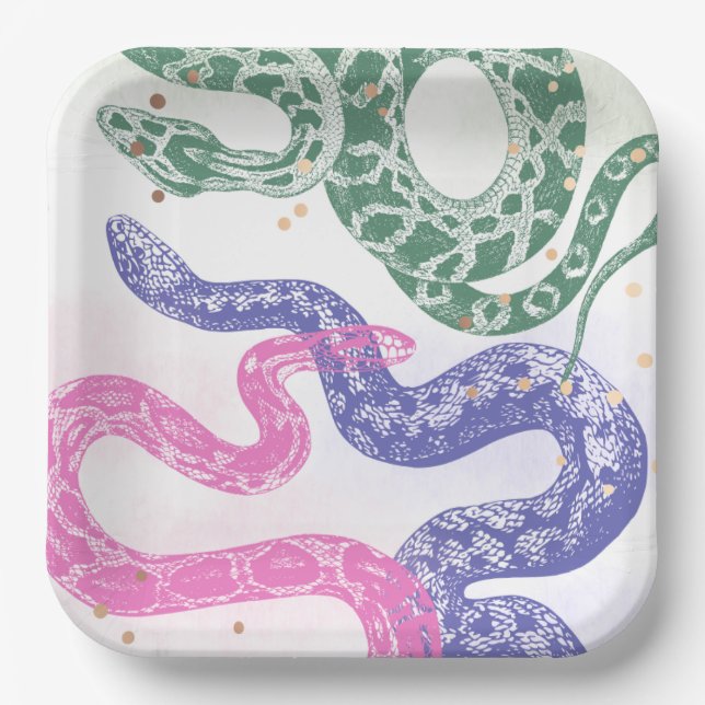 Assiettes En Carton Plaques de fête d'anniversaire de serpent (Recto)