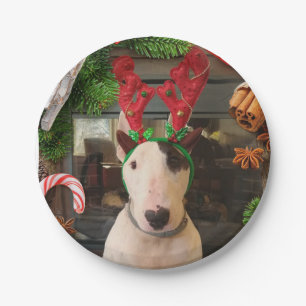 Assiettes En Carton Plaques de Noël Rex