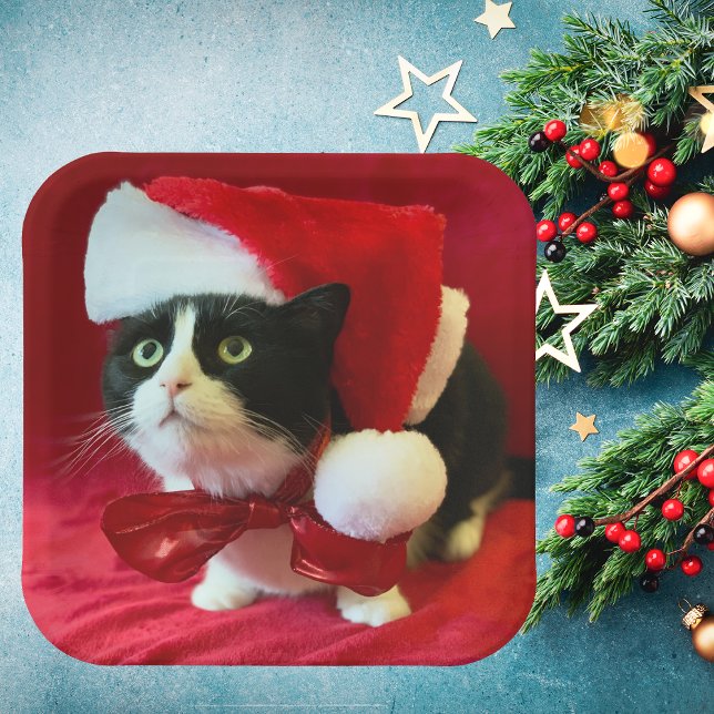 Assiettes En Carton Plaques de Noël Tuxedo Cat (Créateur téléchargé)