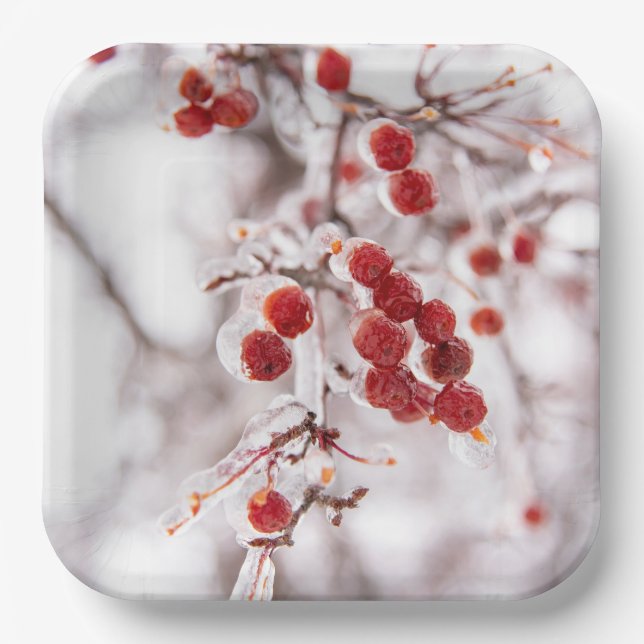 Assiettes En Carton Plaques de papier (Recto)