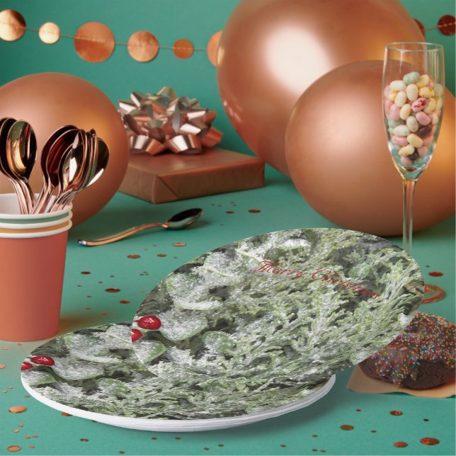 Assiettes En Carton Plaques de papier (Multi)