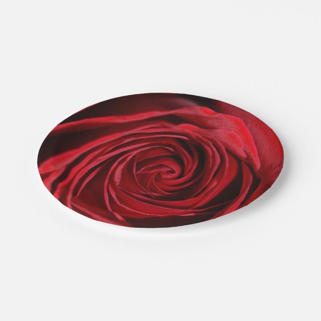 Assiettes En Carton Plaques de papier à fleurs rouges (Angle)