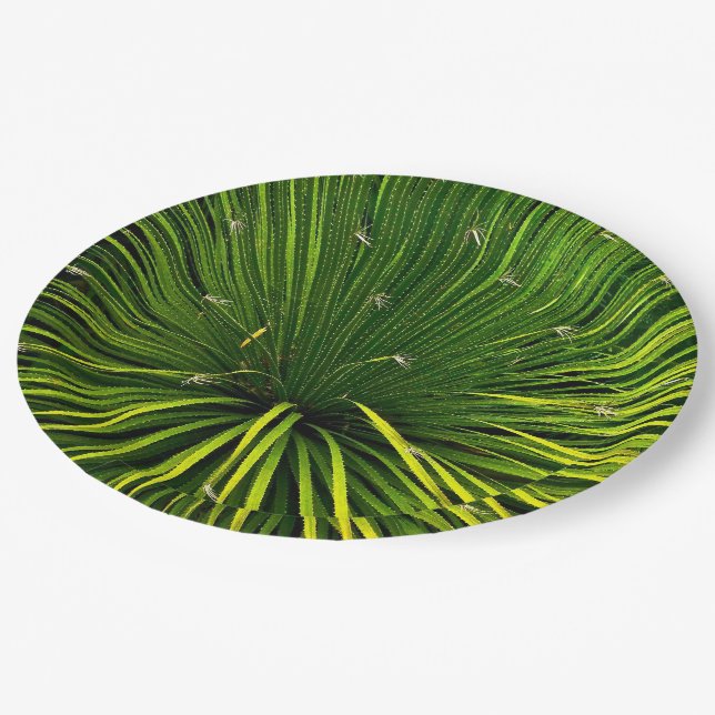 ASSIETTES EN CARTON PLAQUES DE PAPIER AVEC PLANTE SOTOL VERT (Angle)