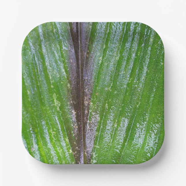 Assiettes En Carton Plaques de papier Carré Turmeric Green Leaf 7" (Recto)