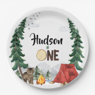 Assiettes En Carton Plaques de papier de camping-car