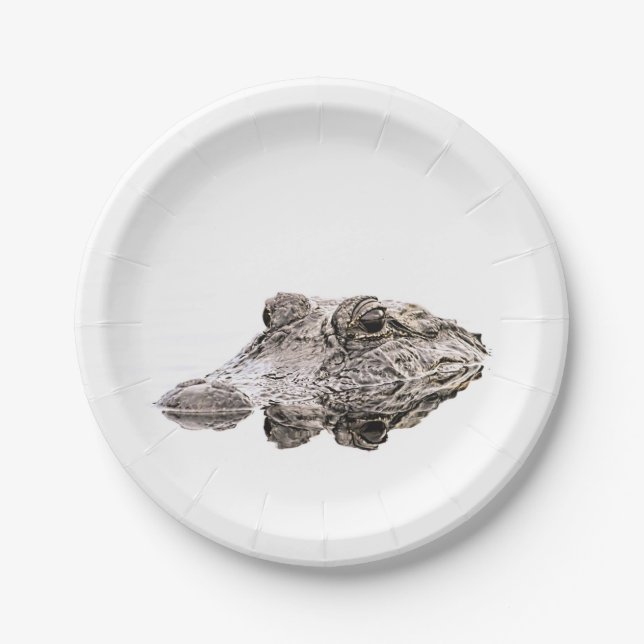 Assiettes En Carton Plaques de papier Gator (Devant)