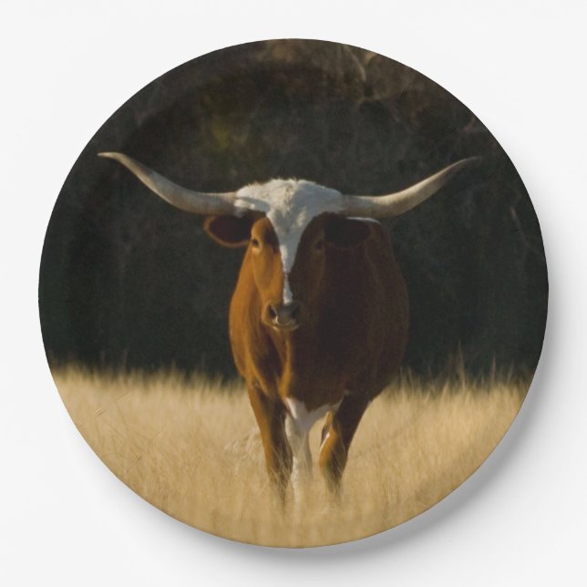 Assiettes En Carton Plaques de papier Longhorn du Texas (Devant)