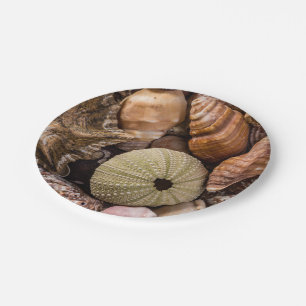 Assiettes En Carton Plaques de papier Mixte Sea Shells