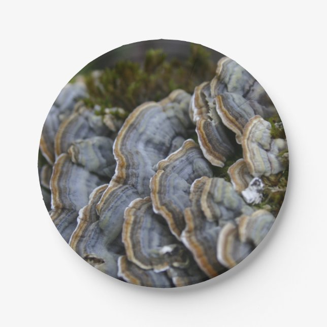 Assiettes En Carton Plaques de papier photo pour champignons d'arbre (Devant)