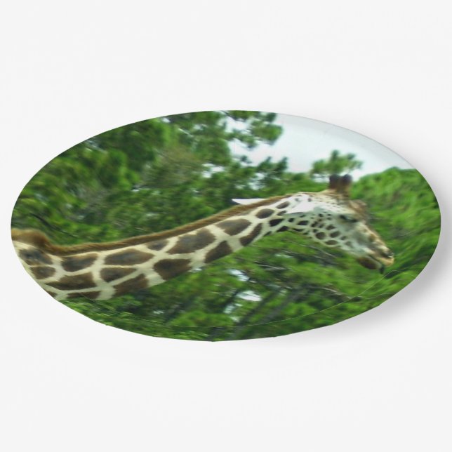 Assiettes En Carton Plaques de papier profil Giraffe (Angle)