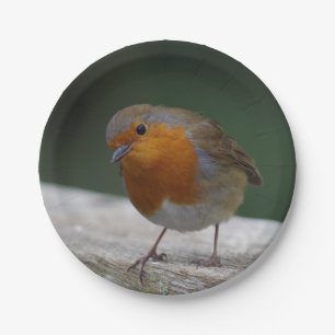 Assiettes En Carton Plaques de papier Robin