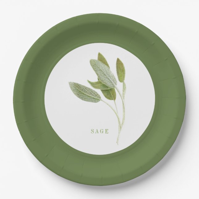Assiettes En Carton Plaques de papier rond de 9 po - Vert (Devant)