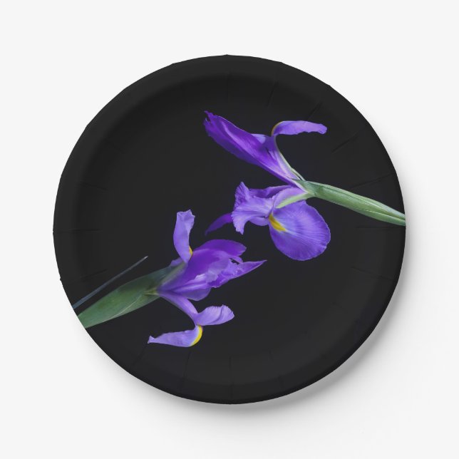 Assiettes En Carton Plaques de papier rond Iris doubles (Devant)