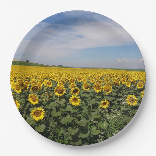 Assiettes En Carton Plaques de papier tournesol (Devant)