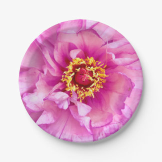 Assiettes En Carton Plaques de pivoine rose, plaque de papier rond de