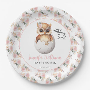 Assiettes En Carton Plaques en papier baby shower pour hibou à couver 