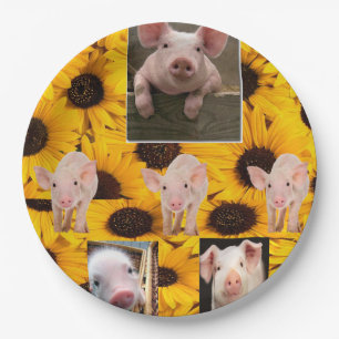 Assiettes En Carton Plaques en papier de cochons de tournesol