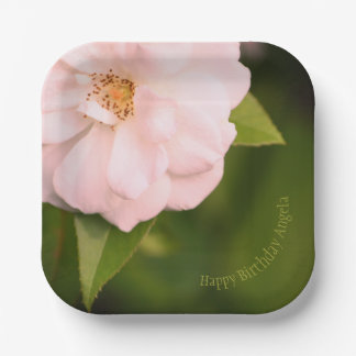 Assiettes En Carton Plaques en papier du Carré de Rose de jardin rose