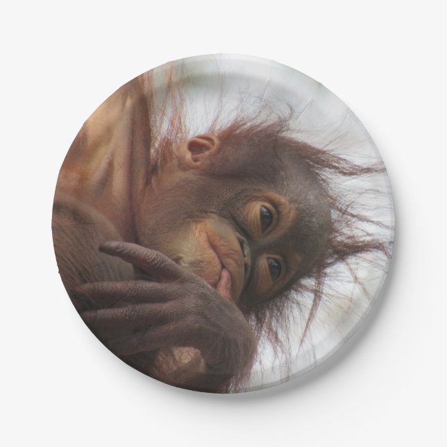 Assiettes En Carton Plaques en papier Orangutan bébé (Devant)