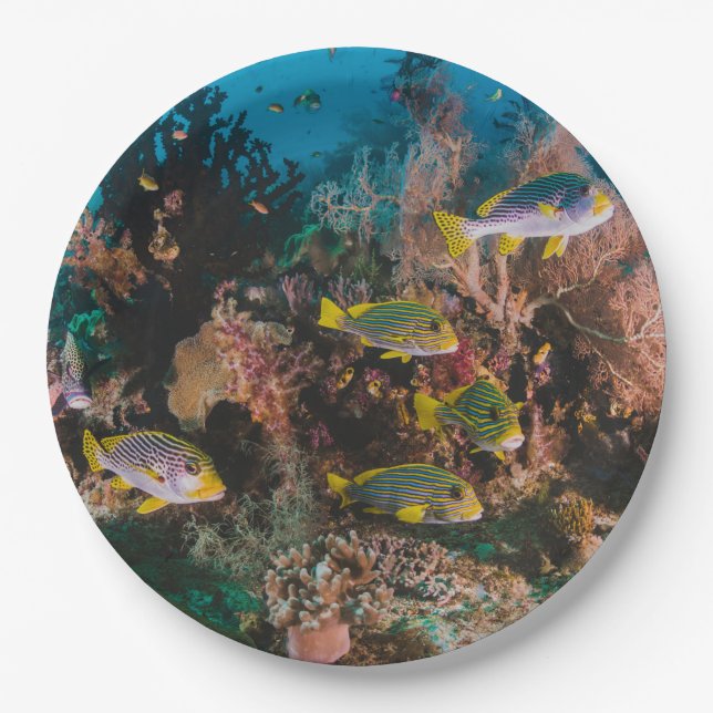 Assiettes En Carton Plaques papier Coral Reef (Devant)