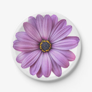 Assiettes En Carton Plaques Papier de la Partie de marguerite violet