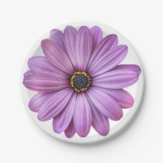 Assiettes En Carton Plaques Papier de la Partie de marguerite violet (Devant)