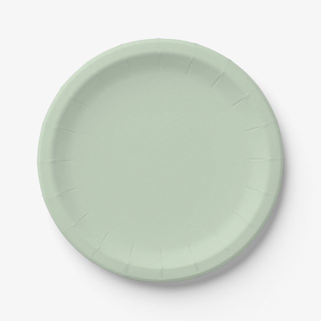 Assiettes En Carton Plaques simples et simples pour Mariage fête d'ann (Devant)