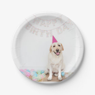 Assiettes En Carton Plat de laboratoire de joyeux anniversaire