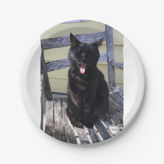 Assiettes En Carton Plate de chats