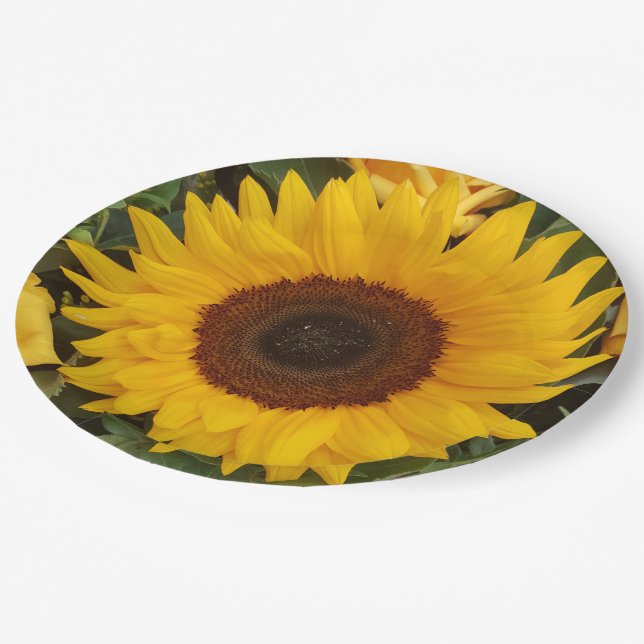 Assiettes En Carton Plats floraux de photographie de fleur de (Angle)