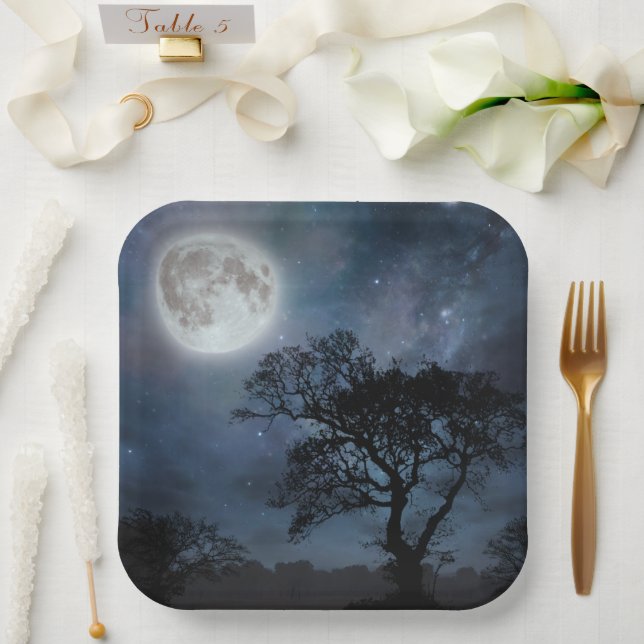 Assiettes En Carton Pleine lune dans un ciel étoilé (Mariage)