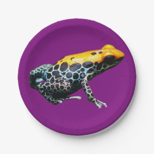 Assiettes En Carton Poison grenouille