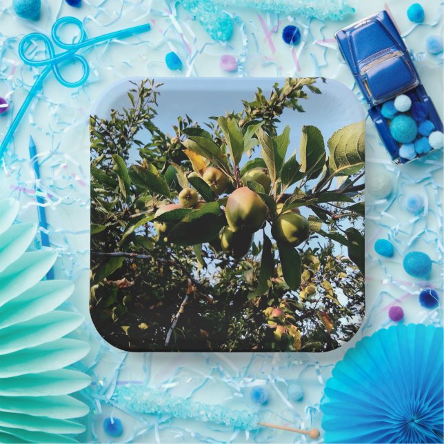 Assiettes En Carton Pommes (Fête)