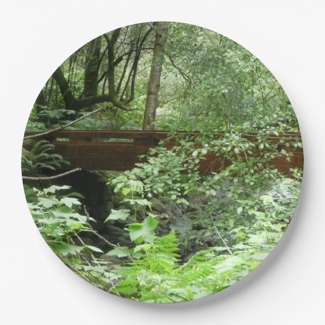 Assiettes En Carton Pont Muir Woods I (Devant)