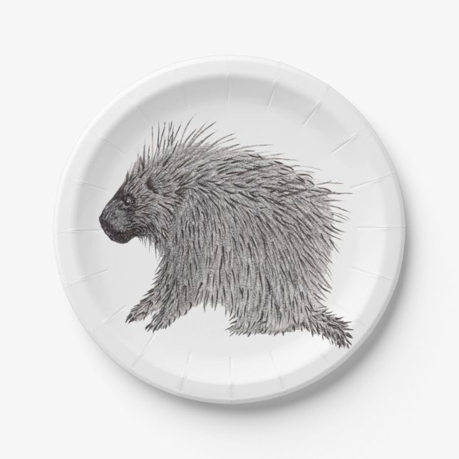 Assiettes En Carton Porcupine (Devant)