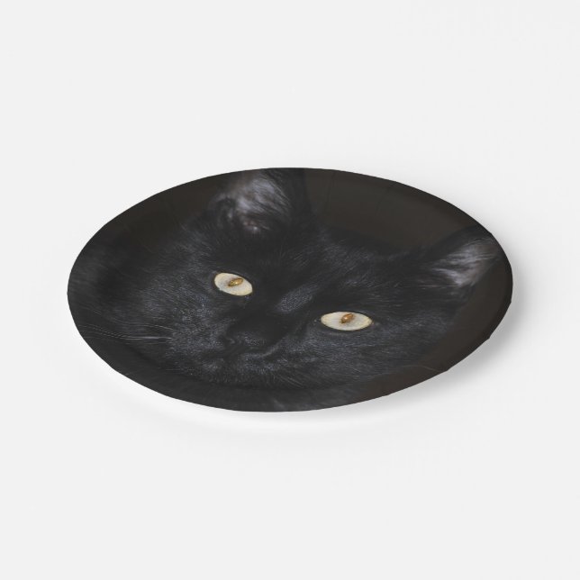 Assiettes En Carton Portrait de chat noir (Angle)