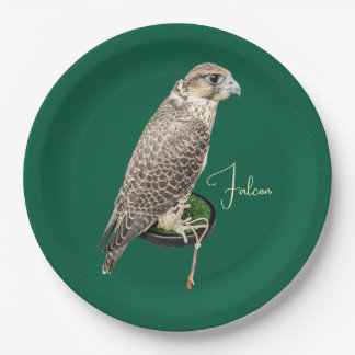 Assiettes En Carton Portrait Of A Hunting Falcon Real Photo Name