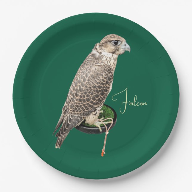 Assiettes En Carton Portrait Of A Hunting Falcon Real Photo Name (Devant)