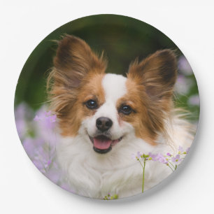 Assiettes En Carton Portrait romantique mignon de chien de Papillon,