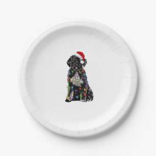 Assiettes En Carton Portugais de l'eau Chien Lumières Noël Chien de No