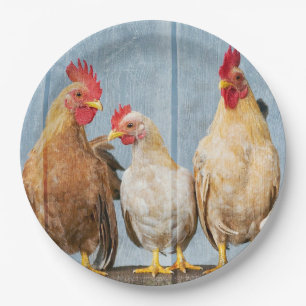 Assiettes En Carton Poules et poulets