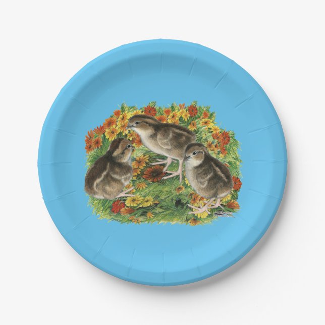 Assiettes En Carton Poussins de jardin de colin de Virginie (Devant)