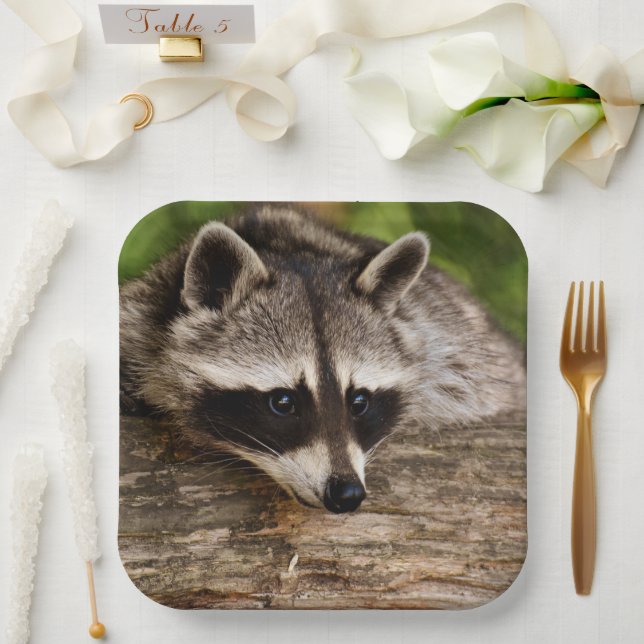 Assiettes En Carton Raccoon mignon reposant sur un journal (Mariage)