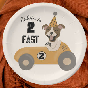 Assiettes En Carton Race Car Chien Boys Deux Fête D'Anniversaire Rapid
