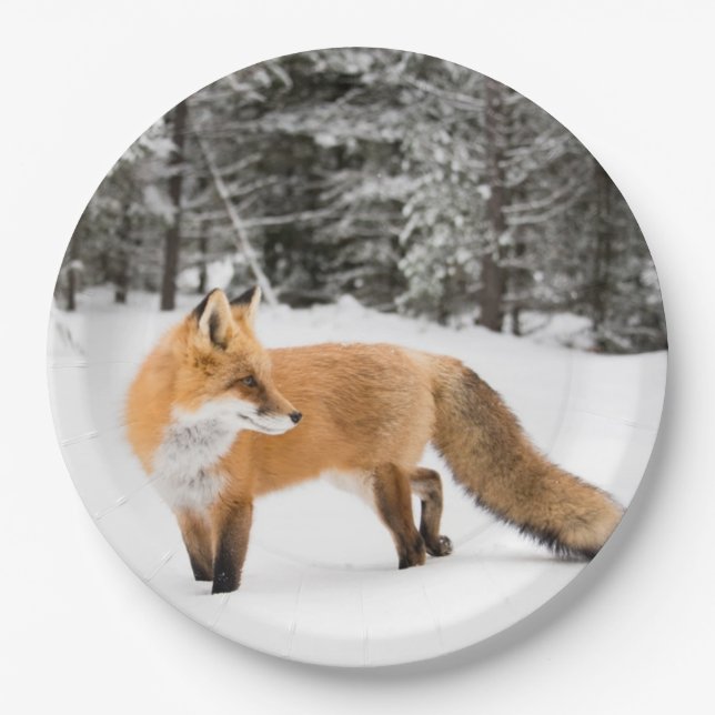 Assiettes En Carton Renard rouge en neige blanche (Devant)