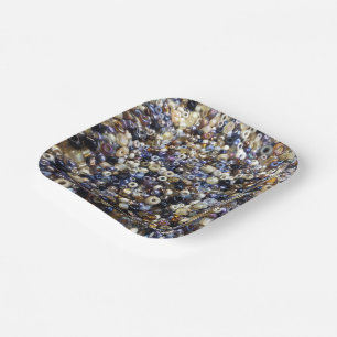 Assiettes En Carton Richesse Du Lissage Des Semences