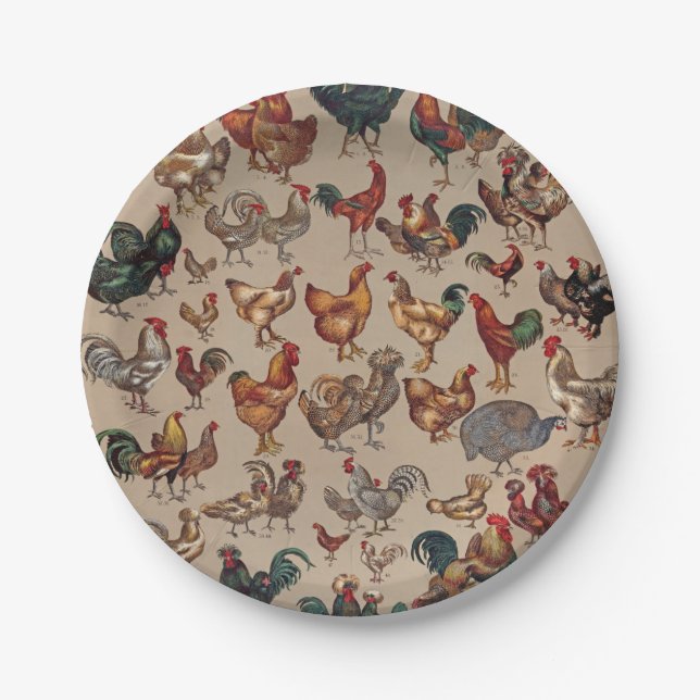 Assiettes En Carton Rooster Poulet de la ferme Pays Animal (Devant)