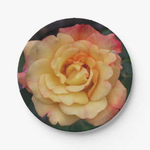 Assiettes En Carton Rose Beautiful Pink and Yellow Floral