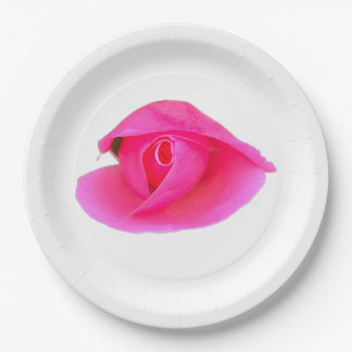 Assiettes En Carton Rose Bud