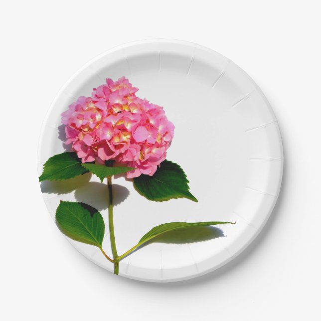 Assiettes En Carton Rose Hydrangea rose fleur rose rose floral (Devant)